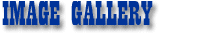Image Gallery